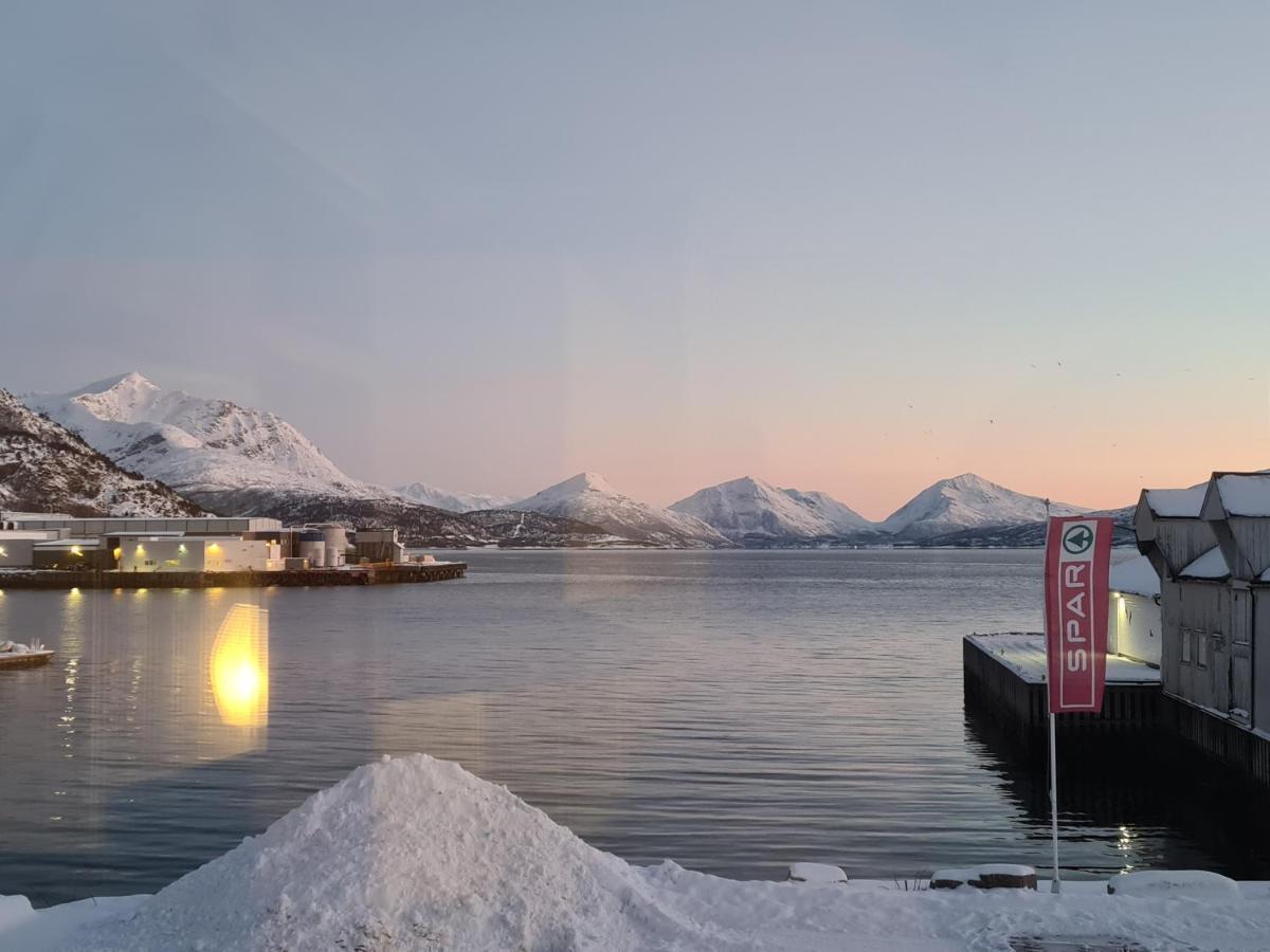 Villa Aurora Harbour House Lodingen Exterior foto